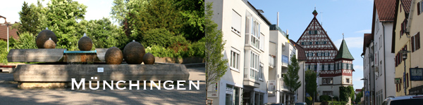 Ihr Immobilienmakler in Stuttgart Mitte, Bild Kugelbrunnen und Marktstrasse Muenchingen Ludwigsburg