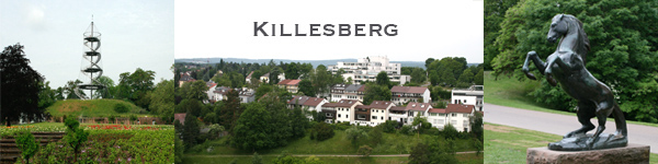 Ihr Immobilienmakler in Stuttgart Killesberg , Bild Aussicht Hoehenpark Stuttgart killesberg